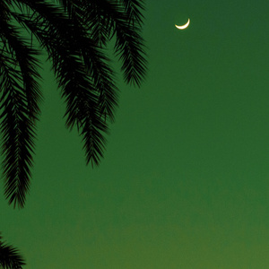 女上男下裸交动漫
