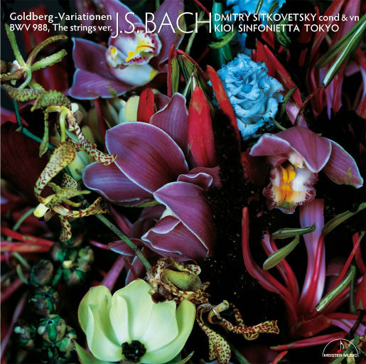 女上男下裸交动漫
